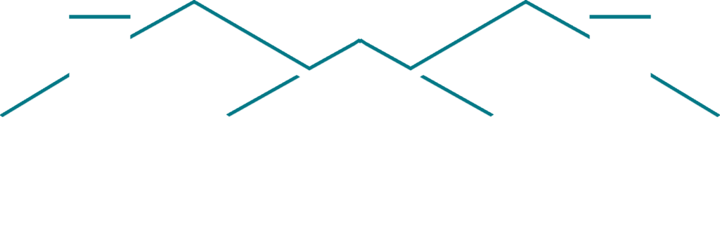 DIXIE GROUP LOGO white and teal