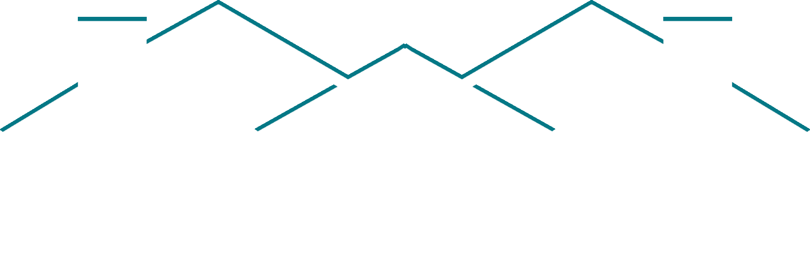 DIXIE GROUP LOGO white and teal